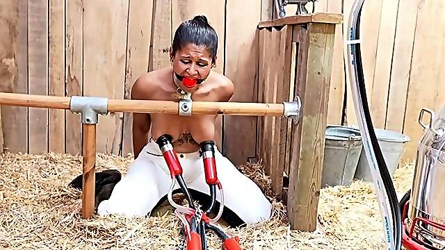 HuCows Calisa Bliss Curious FETiSH