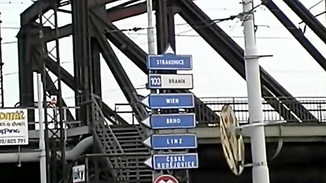 Ugly and Busty russian prostitute picked up the street