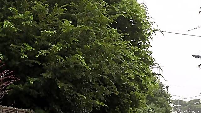 円城ひとみ 五十路妻の２人が出会いレズプレイにはまる