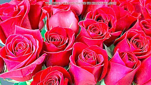 Bangla choti golpo beautiful mature mommy hotwife hasband utter story in Bangla audio choto golpo new full Bangla choti golpo