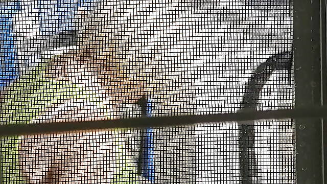 DeeDeeSlut69 being Watched through the Windo