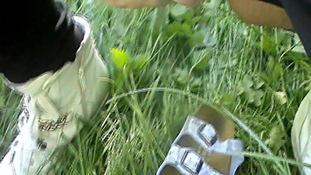 Outdoor Caution I Piss Even in Shoes